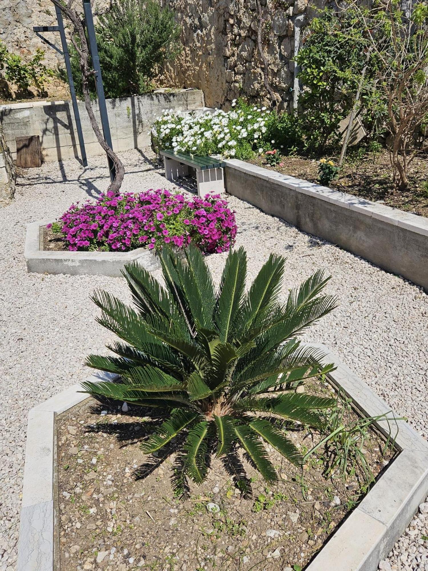 Apartment Marija Close To Old Town Dubrovnik Quarto foto