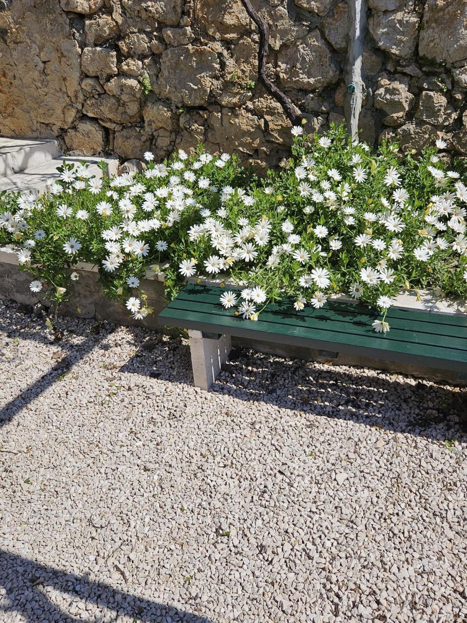 Apartment Marija Close To Old Town Dubrovnik Quarto foto